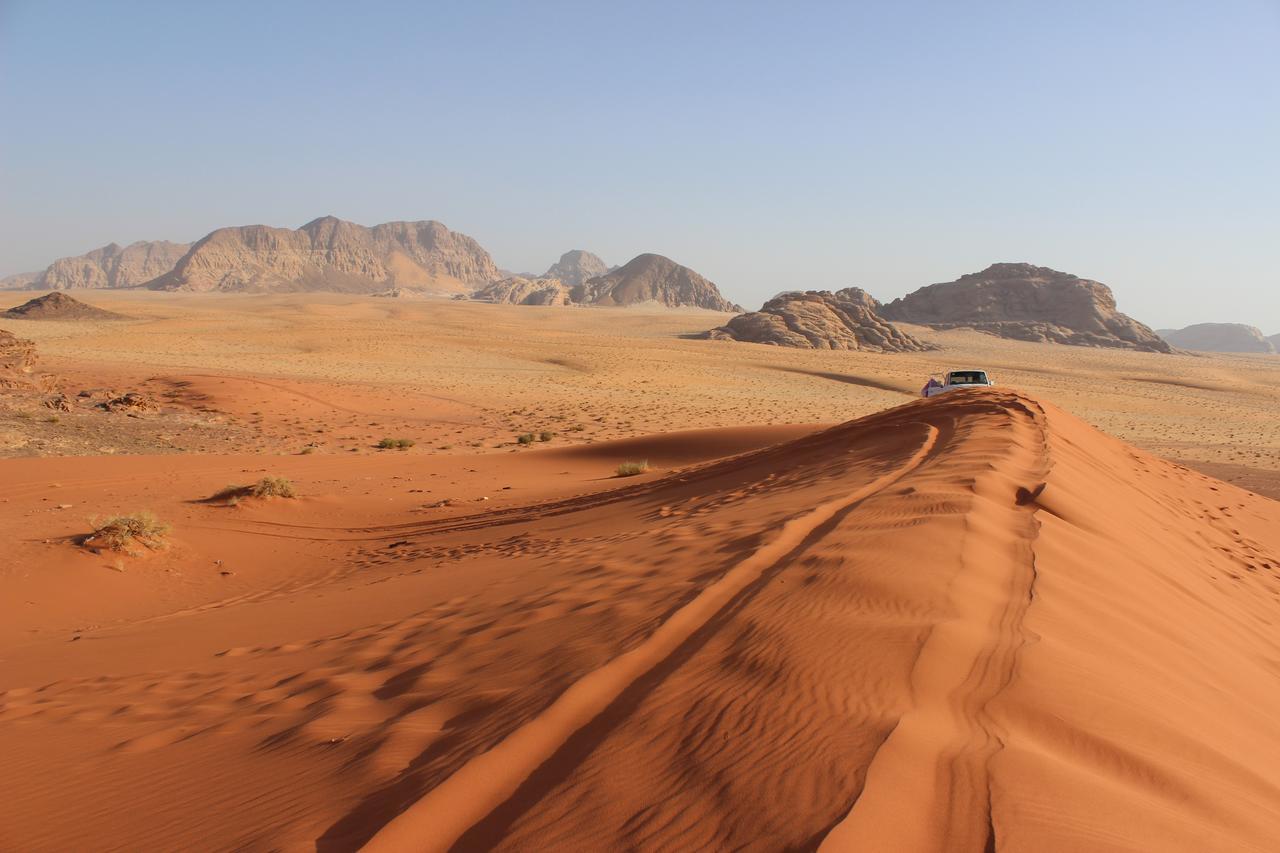Wadi Rum Green Desert Ngoại thất bức ảnh