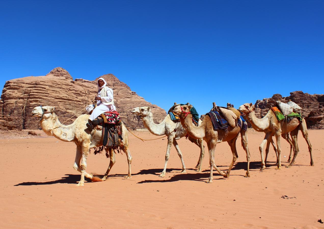 Wadi Rum Green Desert Ngoại thất bức ảnh