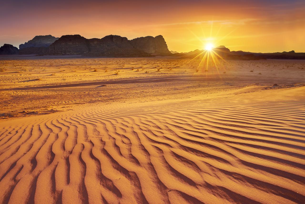 Wadi Rum Green Desert Ngoại thất bức ảnh