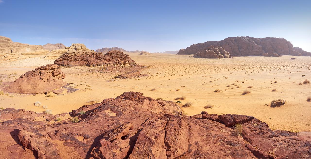 Wadi Rum Green Desert Ngoại thất bức ảnh